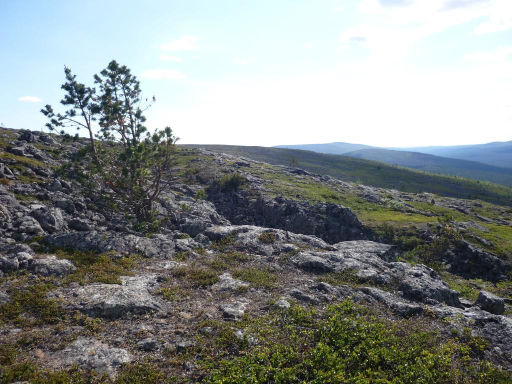 Lemmenjoen Lumo - Nature Experience & Accommodation Lemmenjoki Екстер'єр фото