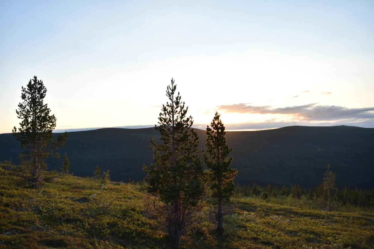 Lemmenjoen Lumo - Nature Experience & Accommodation Lemmenjoki Екстер'єр фото
